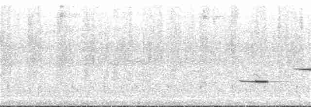 prærielerketrupial - ML30811871