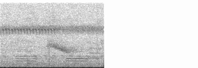 Острохвостый ибис - ML308159261