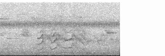 Pabuç Gagalı Tiran - ML308159471