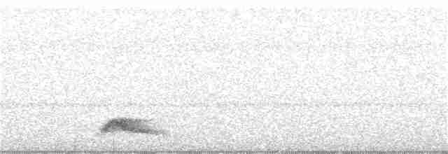 Pauraquenachtschwalbe - ML308168761