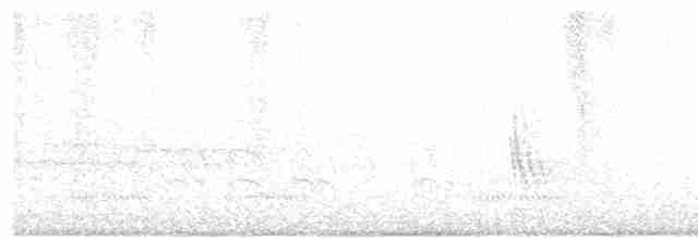 Chalk-browed Mockingbird - ML308203081