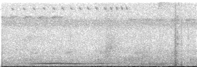 holub šedočelý - ML308225851