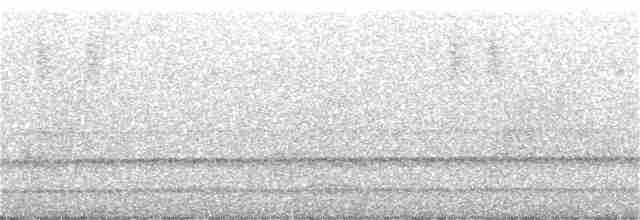 Kestane Başlı Yerçavuşu - ML308235511