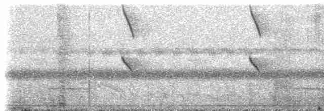 Colibri corinne - ML308304
