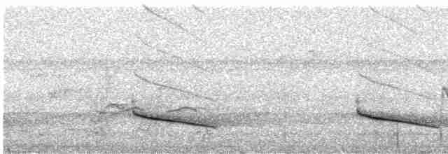 Серошапочный сорокопутовый виреон - ML308320