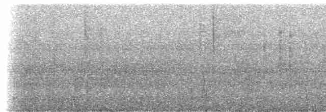 Колібрі-лісовичок буроголовий - ML308326