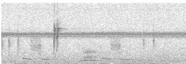 Gray-flanked Cinclodes - ML308329291