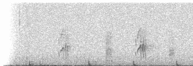 Тиран-крихітка темноголовий - ML308338