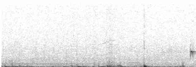 Белокрылый крапивник - ML308346