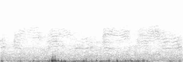 Cory's Shearwater (borealis) - ML308361901