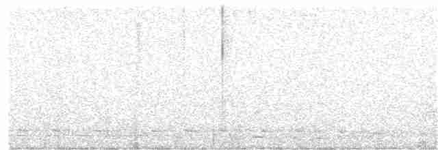 Weißbinden-Ameisenvogel - ML30836541