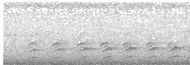 Black-tailed Oriole - ML308434751