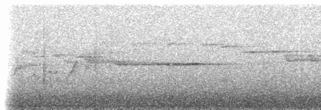 Белозобая перепелиная горлица - ML308445