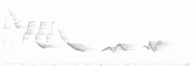 Kara Kanatlı Piranga - ML308445181
