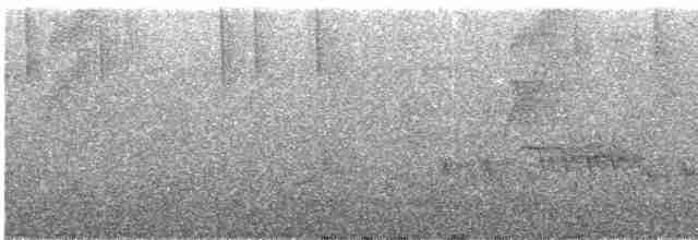 Percefleur rouilleux - ML308448