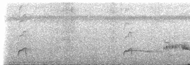 Темнохвостый плосконос - ML308480