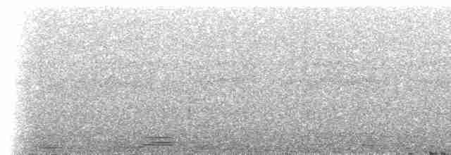 Tepeli Karıncakuşu - ML308481