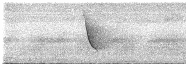 Белокрылая сорокопутовая танагра - ML308483