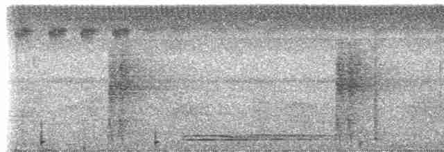 Zimtbürzel-Blattspäher - ML308484