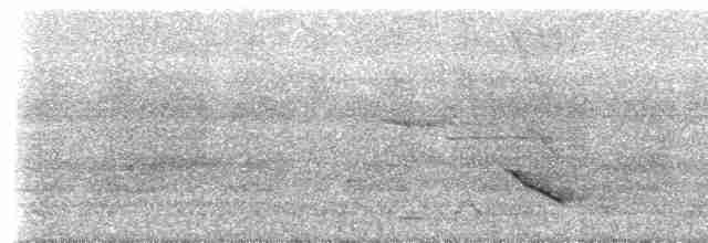 arassari hnědouchý - ML308508