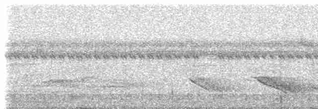 Rufous-browed Peppershrike (Northern) - ML308509
