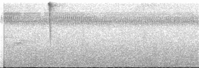 Kara Başlı Todi Sinekkapanı - ML308537801