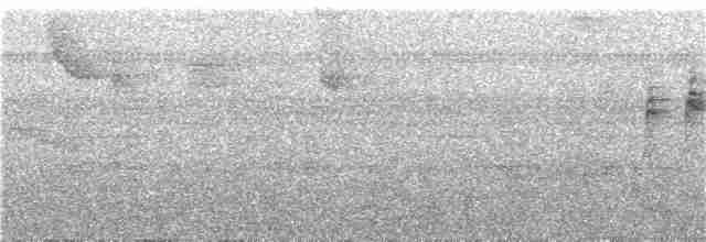 Серогрудый певун - ML308546011