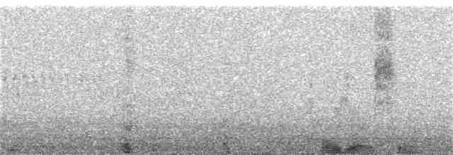Ochre-browed Thistletail - ML308554081