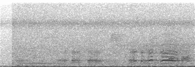 Краснохвостая чачалака - ML308558871