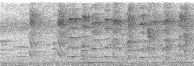 Gri Başlı Todi Sinekkapanı - ML308561801