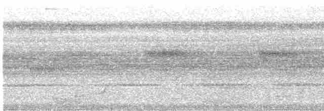 Variegated Tinamou - ML308627761