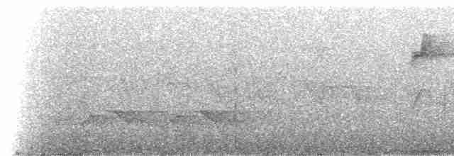 Дятел-смугань жовтобровий - ML308646