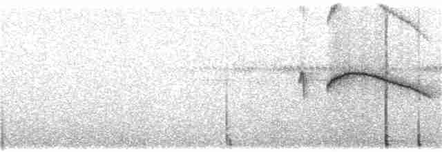 Weißschwanz-Nachtschwalbe - ML308737161