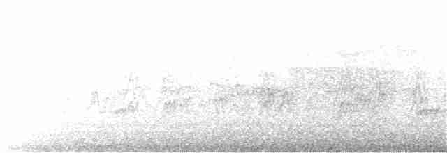 Черноголовый толстонос - ML30876461