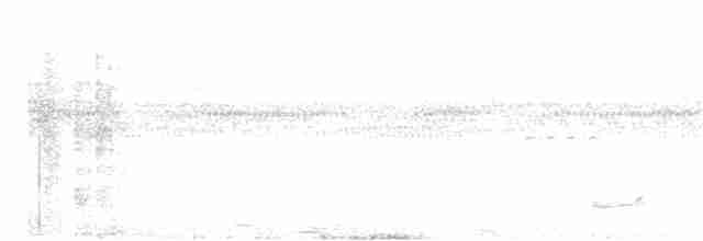 Bändernachtschwalbe - ML308779281