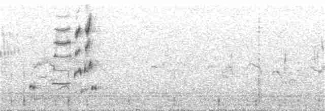 Iberian Gray Shrike - ML308789681