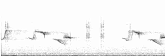 Blyth's Reed Warbler - ML308806861