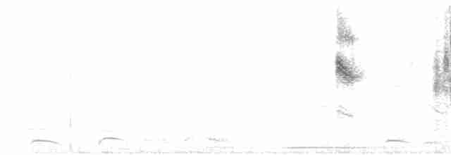 Ржавогрудый левкипп - ML308817291