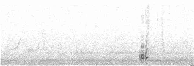 Slender-billed Starling - ML308899191