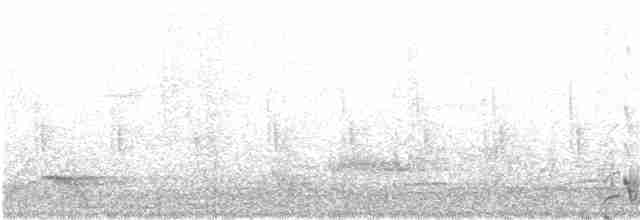 Rüppell Sığırcığı - ML308899521