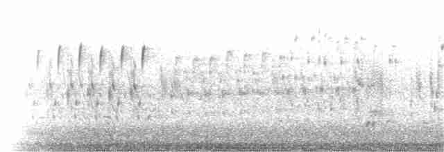 střízlík bažinný [skupina palustris] - ML30891821