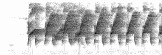 Kestane Kulaklı Arapbülbülü - ML309011531