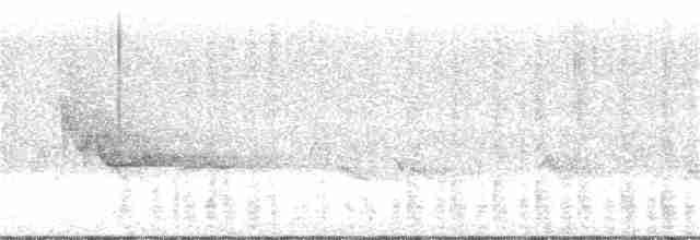 Сероголовый виреон - ML30912331