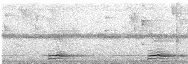 Горный трёхпалый тинаму - ML309127321