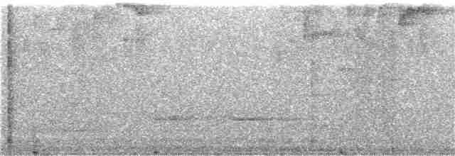 Лиловогрудый колибри - ML309127521
