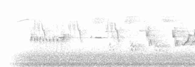 Зяблик гран-канарський - ML309234