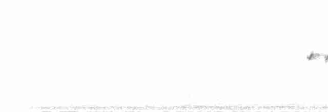 lesňáček modrohřbetý - ML30923981