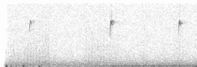 Pinson de Grande Canarie - ML309240