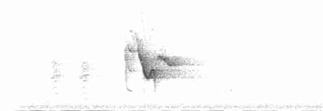 Віреон сизоголовий - ML30924121