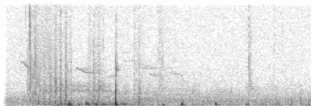 Зяблик гран-канарський - ML309244